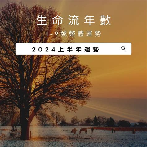 2024年流年運勢|V生命靈數／ 2024上半年【整體運勢】分析&生命流年。